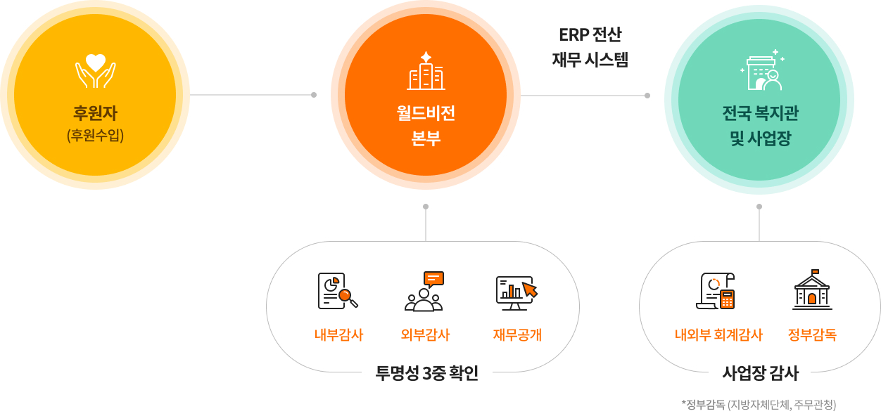 국내사업비 흐름