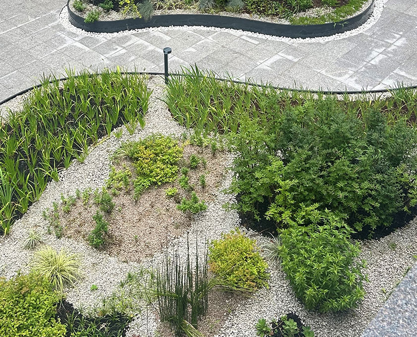 다양한 식물이 심어져있는 현대식 마당