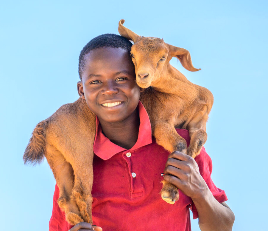 염소를 어깨에 메고 있는 아동