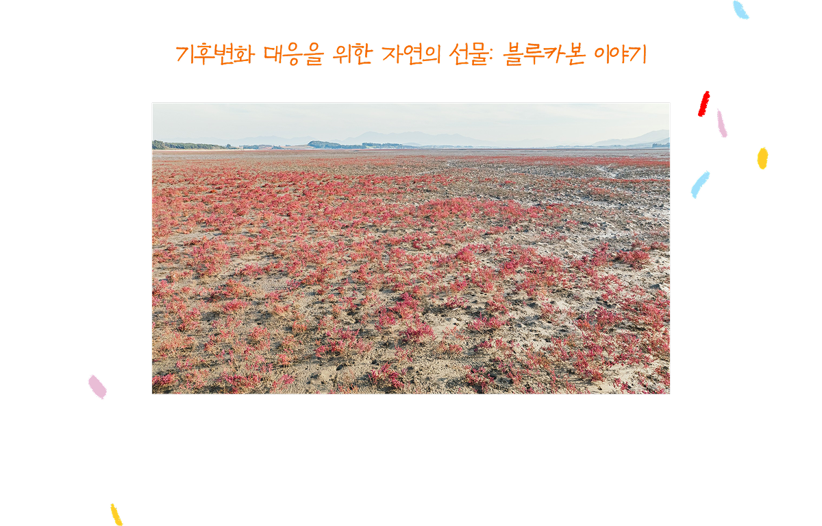 기후변화 대응을 위한 자연의 선물: 블루카본 이야기