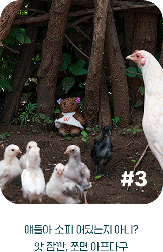 얘들아 소피 어딨는지 아니?
            앗 잠깐, 쪼면 아프다구