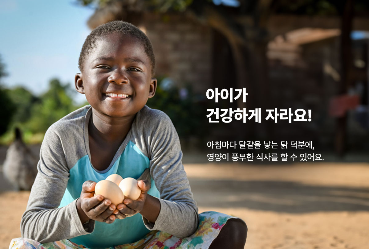 아이가 건강하게 자라요!  아침마다 달걀을 낳는 닭 덕분에, 영양이 풍부한 식사를 할 수 있어요.