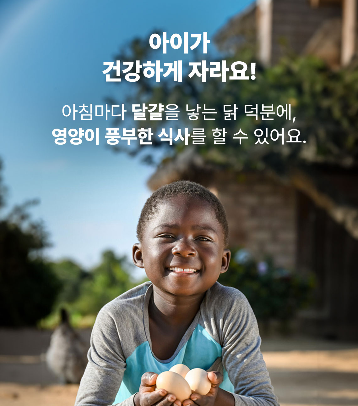 아이가 건강하게 자라요!  아침마다 달걀을 낳는 닭 덕분에, 영양이 풍부한 식사를 할 수 있어요.