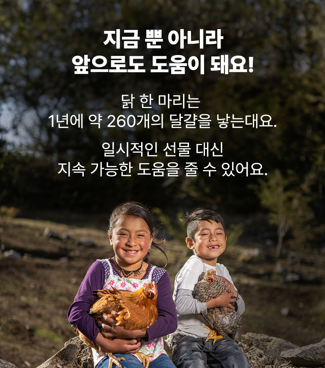 지금 뿐 아니라 앞으로도 도움이 돼요!  닭 한 마리는  1년에 약 260개의 달걀을 낳는대요.  일시적인 선물 대신 지속 가능한 도움을 줄 수 있어요.