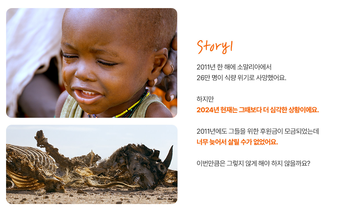 2011년 한 해에 소말리아에서 26만 명이 식량 위기로 사망했어요. 하지만 2024년 현재는 그때보다 더 심각한 상황이에요. 2011년에도 그들을 위한 후원금이 모금되었는데 너무 늦어서 살릴 수가 없었어요. 이번만큼은 그렇지 않게 해야 하지 않을까요?