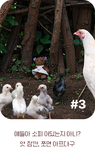 얘들아 소피 어딨는지 아니?
            앗 잠깐, 쪼면 아프다구
