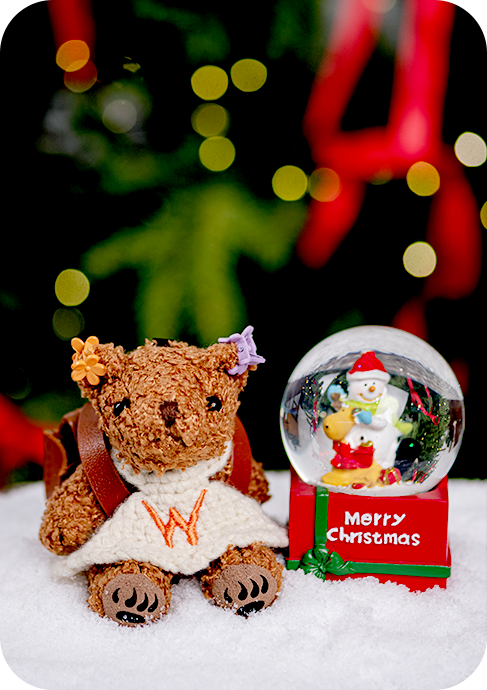 위드베어 이미지 6