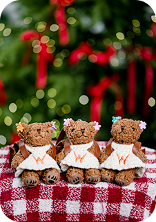 위드베어 이미지 7