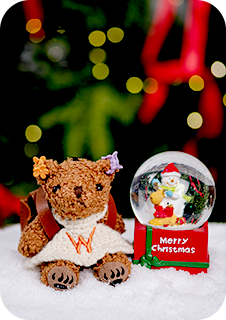 위드베어 이미지 9