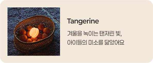 Tangerine - 겨울을 녹이는 탠저린 빛, 아이들의 미소를 닮았어요