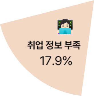 취업 정보 부족 17.9%