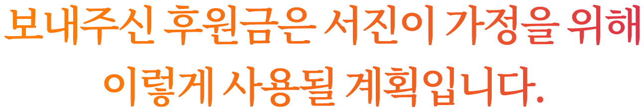 보내주신 후원금은 서진이 가정을 위해 이렇게 사용될 계획입니다.