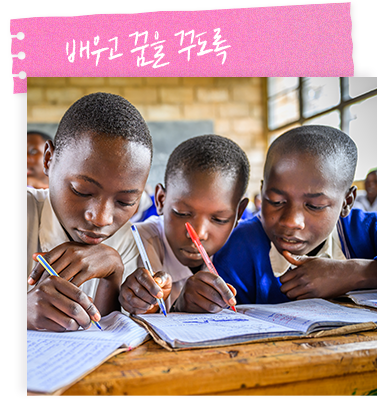 배우고 꿈을 꾸도록