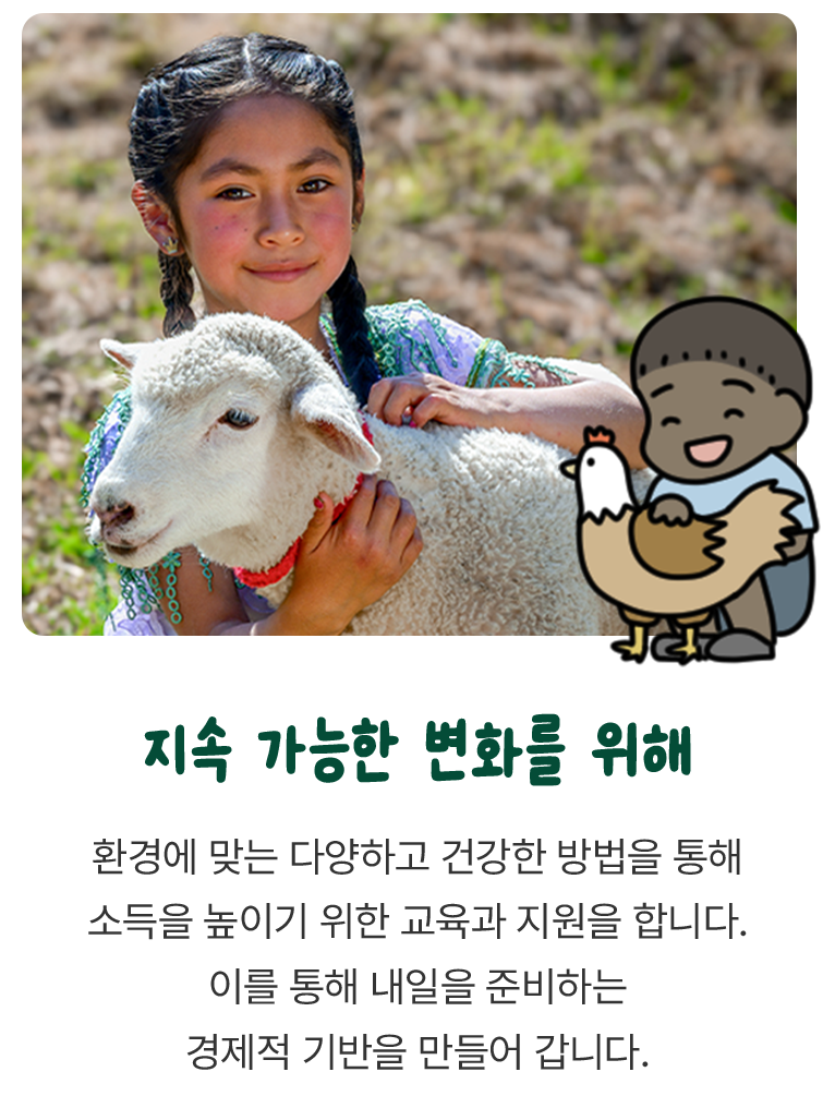 환경에 맞는 다양하고 건강한 방법을 통해 소득을 높이기 위한 교육과 지원을 합니다. 이를 통해 내일을 준비하는 경제적 기반을 만들어 갑니다.