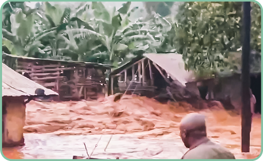 홍수가 난 에스더의 동네