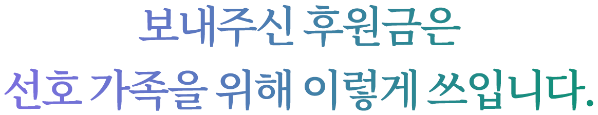 보내주신 후원금은 선호 가족을 위해 이렇게 쓰입니다.