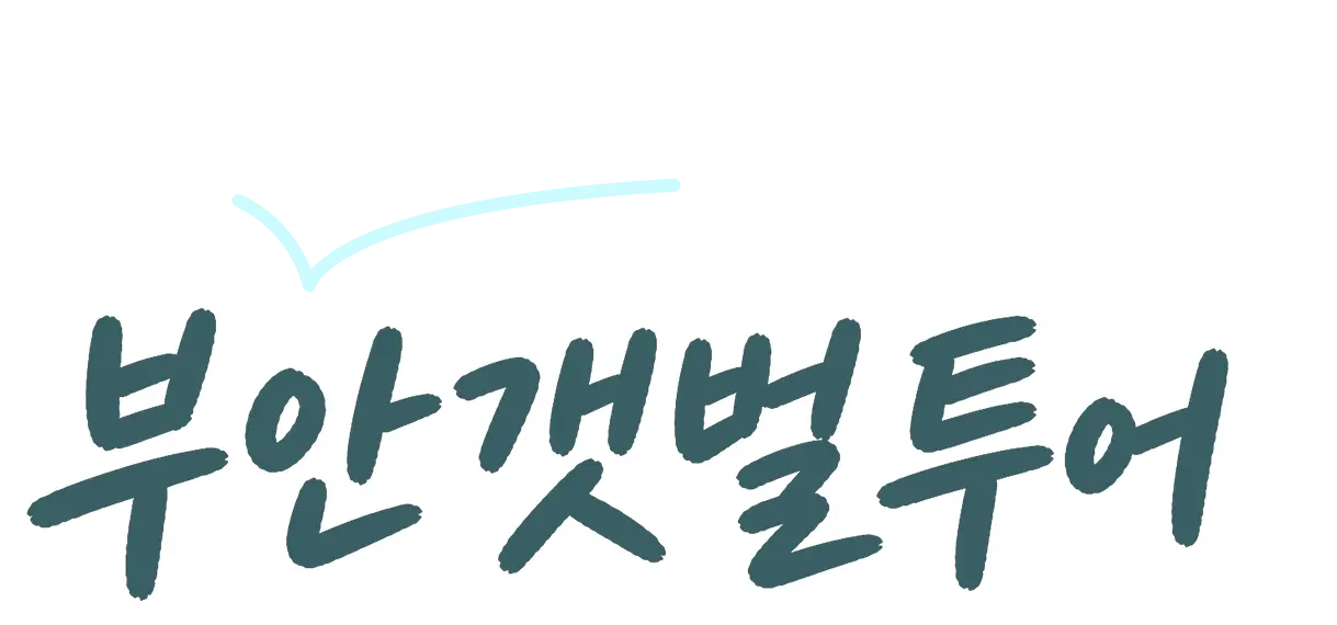 가족과 함께 즐기는 부안갯벌투어