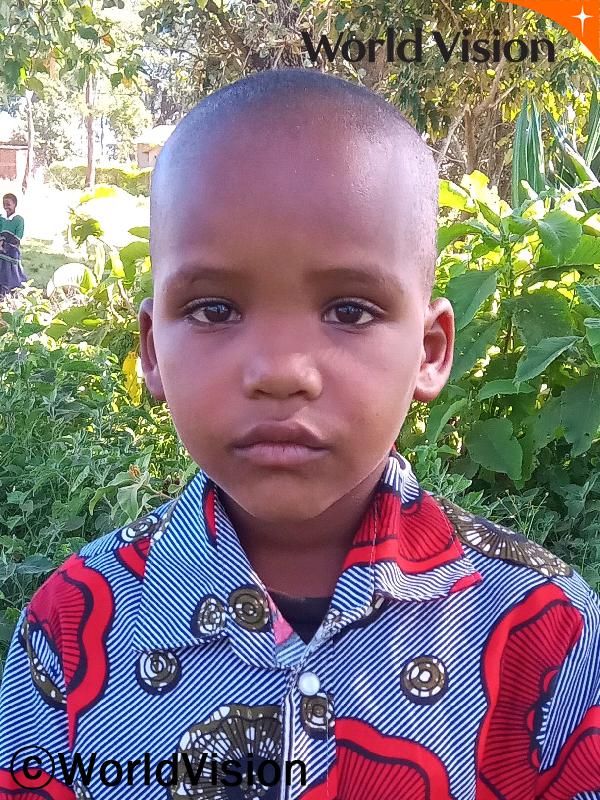 Brayi