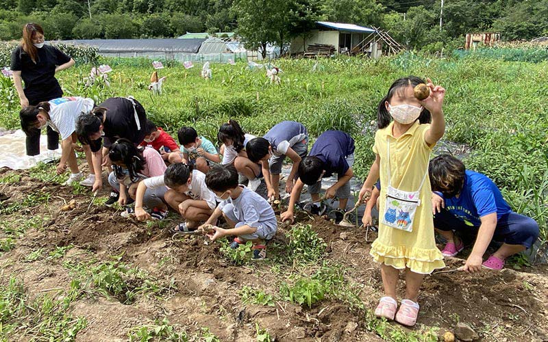 농산물을 수확하는 아이들