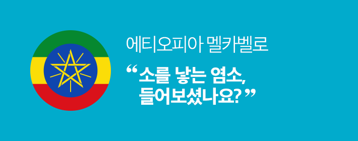 에티오피아 멜카벨로 - 소를 낳는 염소, 들어보셨나요?
