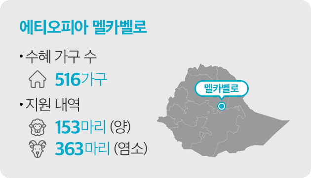 에티오피아 멜카벨로 -수혜 가구 수 : 516가구 -지원 내역 : 양 153마리, 염소 353마리
