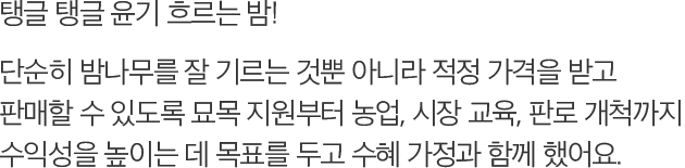 탱글 탱글 윤기 흐르는 밤! 단순히 밤나무를 잘 기르는 것뿐 아니라 적정 가격을 받고 판매할 수 있도록 묘목 지원부터 농업, 시장 교육, 판로 개척까지 수익성을 높이는 데 목표를 두고 수혜 가정과 함께 했어요.