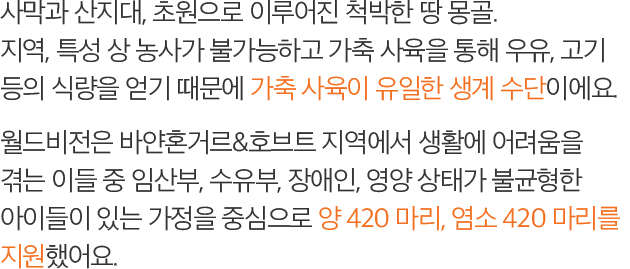 사막과 산지대, 초원으로 이루어진 척박한 땅 몽골. 지역, 특성 상 농사가 불가능하고 가축 사육을 통해 우유, 고기 등의 식량을 얻기 때문에 가축 사육이 유일한 생계 수단이에요. 월드비전은 바얀혼거르&호브트 지역에서 생활에 어려움을 겪는 이들 중 임산부, 수유부, 장애인, 영양 상태가 불균형한 아이들이 있는 가정을 중심으로 양 420 마리, 염소 420 마리를 지원했어요.