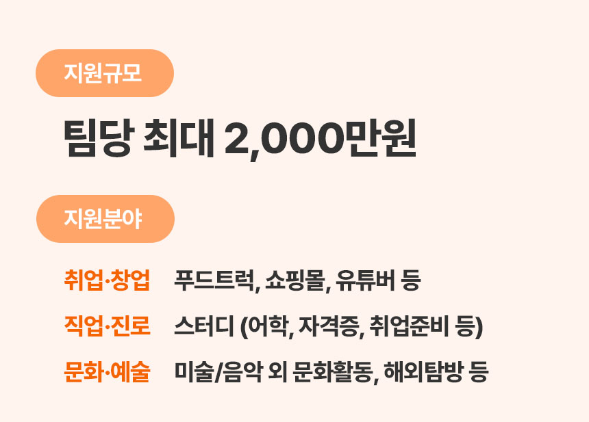 지원규모 팀당 최대 2000만원 지원분야 취업창업 푸드트럽, 쇼핑몰, 유튜버 등 직업진로 스터디 문화예술 미술/음악 외 문화활동 해외탐방 등