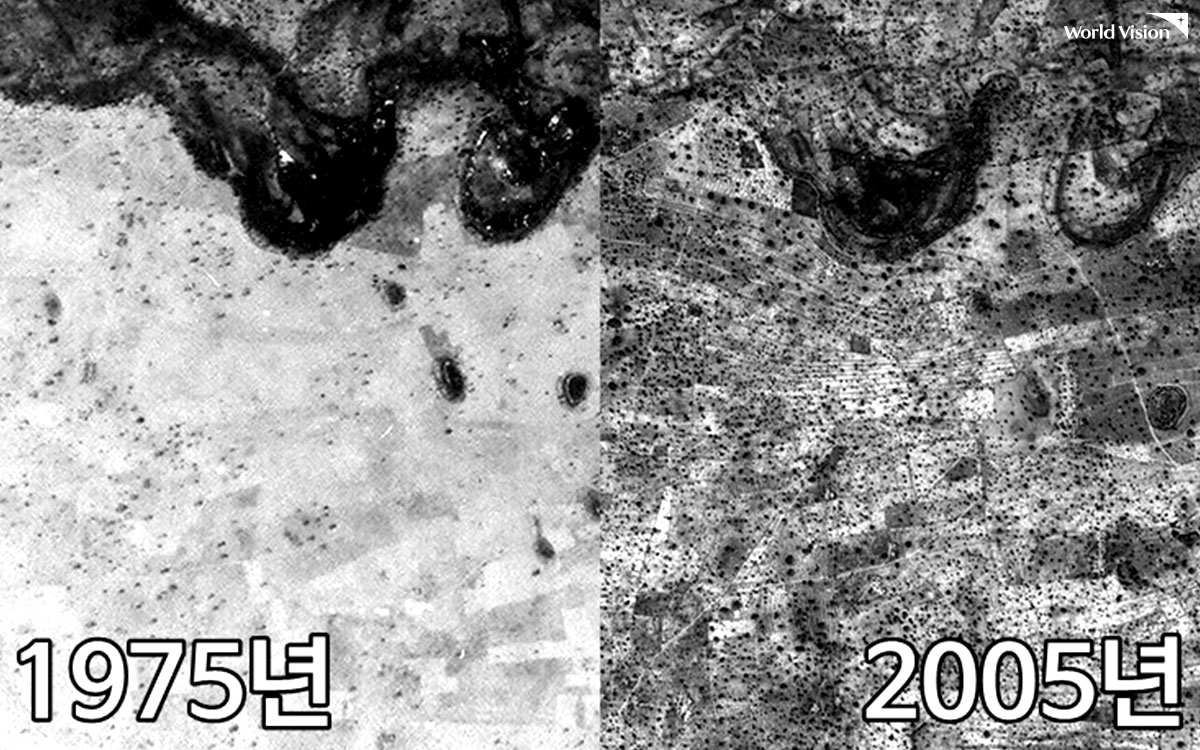 인공위성 사진