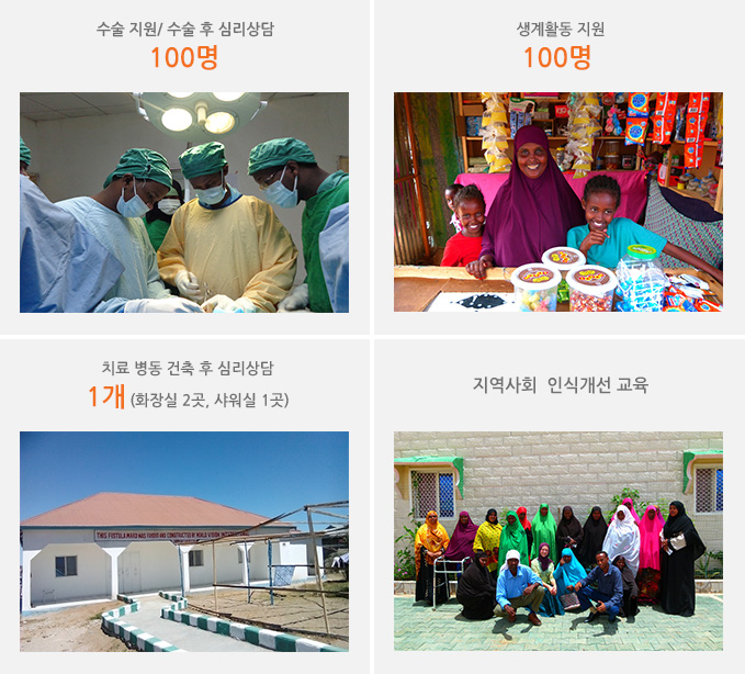 수술지원/수술 후 심리상담 100명, 생계활동 지원 100명, 치료 병동 건축 1동, 지역사회인식개선 교육