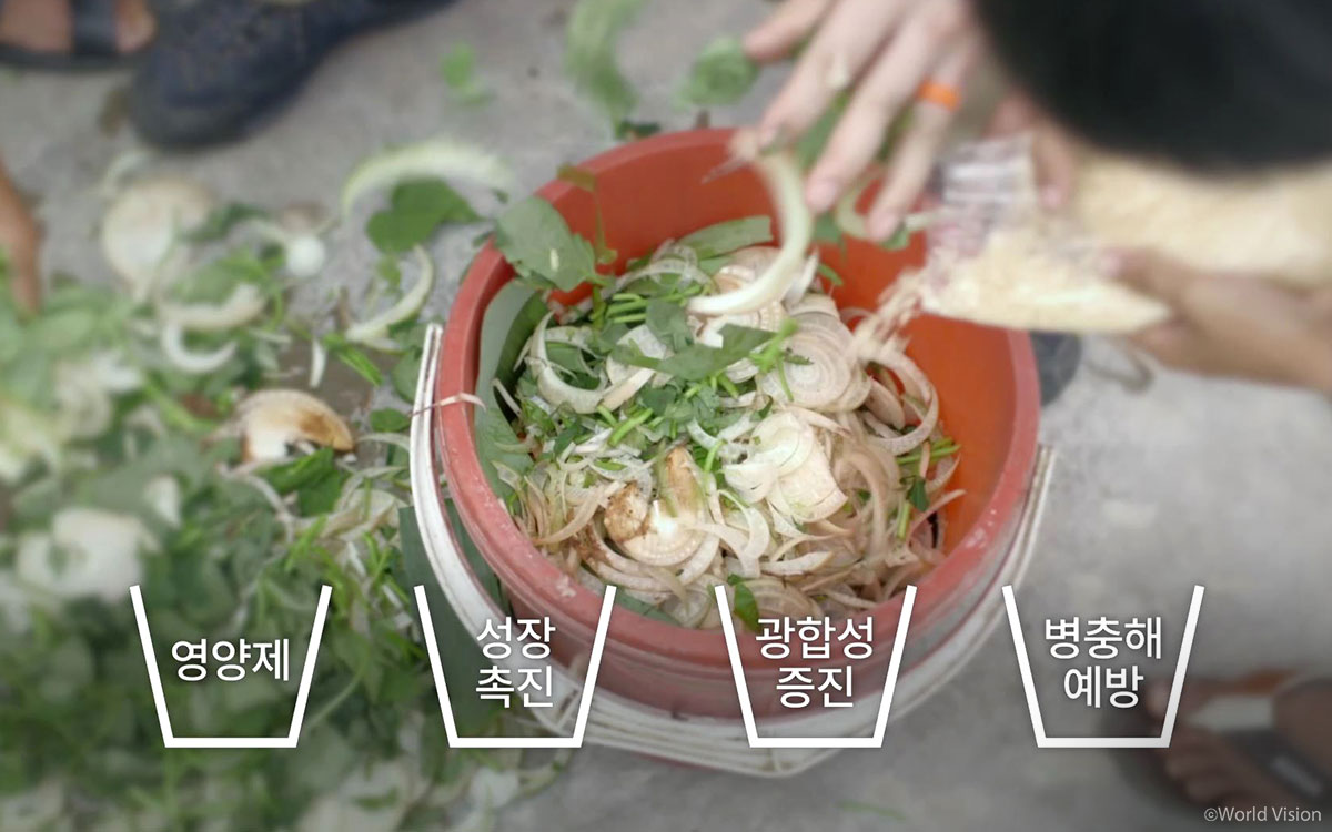 생강, 마늘, 고추 등을 이용해 직접 만드는 발효제