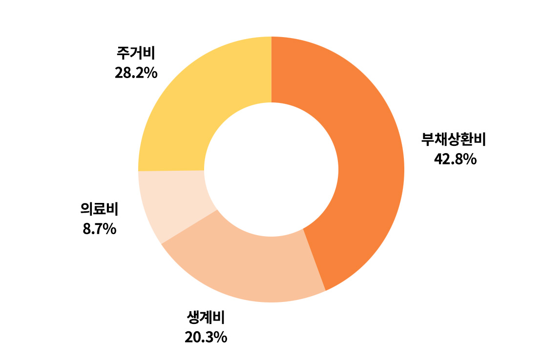 부채상환비(42.8%), 주거비(28.2%), 생계비(20.3%), 의료비(8.7%)