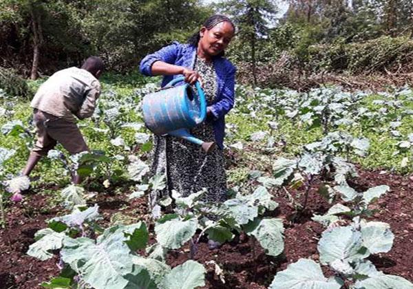 이미지 설명문구