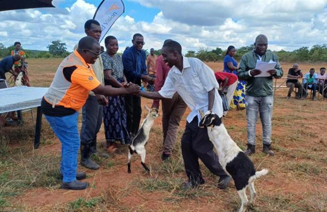 실시간 가축 전달식 현장